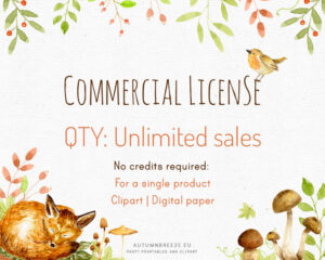 commercial license for a single product