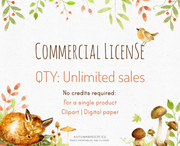 commercial license for a single product