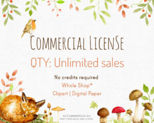 commercial license for whole store only applies to clipart and digital paper