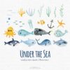 set of under the sea creatures painted by hand