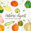 autum elements watercolor clipart