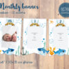 Monthly photo Banner with Baby Shark