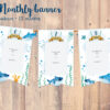 Monthly photo Banner with Baby Shark - Image 6