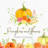 Watercolor Autumn Clipart / Pumpkins and flowers