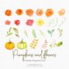 Watercolor Autumn Clipart / Pumpkins and flowers - Image 2