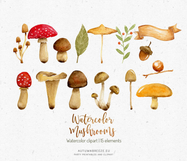 mushrooms illustrations clipart