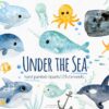 under the sea animals watercolor clipart
