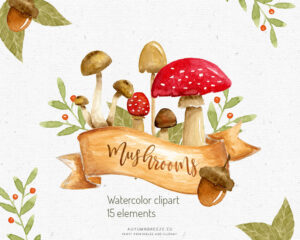 watercolor mushrooms illustration clipart
