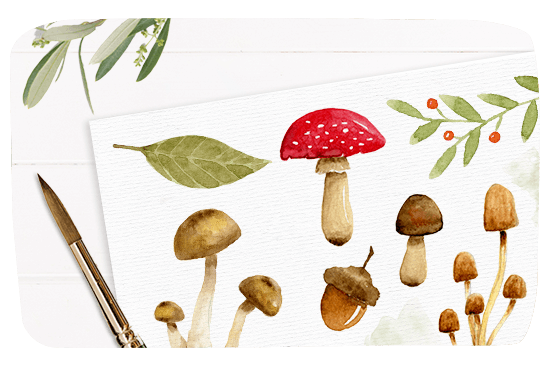 category image with watercolor mushroom clipart set