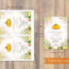 pumpkin baby shower invitation