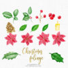 christmas foliage poinsettia clipart