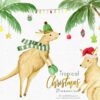 kanguru christmas clipart