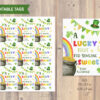 printable st Patricks day treat bag tags