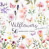 wildflowers watercolor clipart