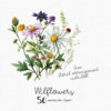 watercolor flowers clipart