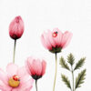 Pink Fairy Garden Clipart, 30 PNG Images - Image 9