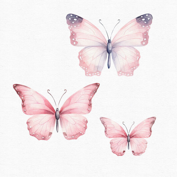 three pink butterflies