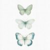 Pastel Butterfly Clipart – Soft PNG Pack for Crafts - Image 11