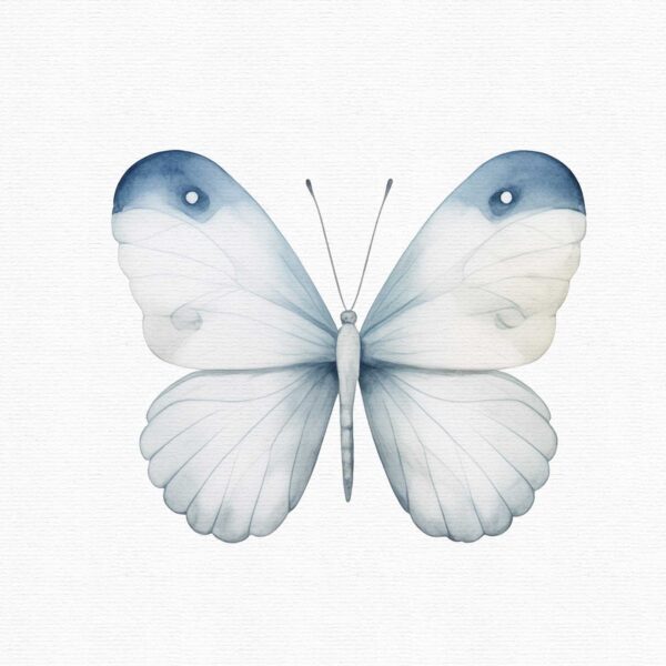 watercolor blue butterfly clipart- set