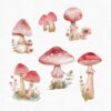 mushroom clipart set