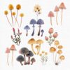 Mushroom Clipart, Magic Mushrooms Clipart - Image 5