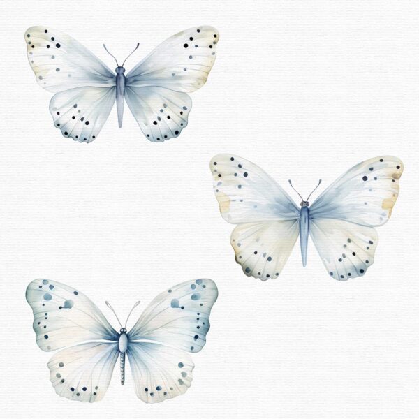 watercolor butterflies clipart set