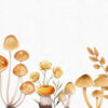 Mushroom Clipart, Magic Mushrooms Clipart - Image 6