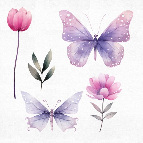 purple-and-punk-butterfly-