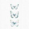 turquise butterflies clipart set