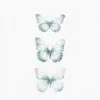 turquise butterflies clipart set