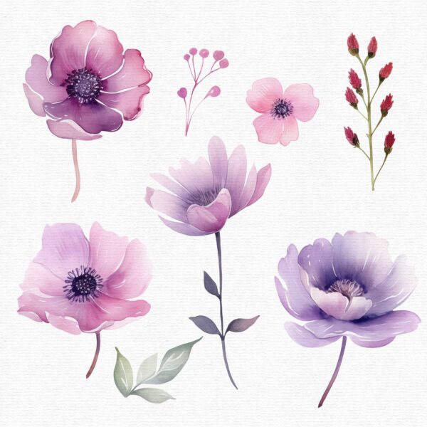 flowers-clipart