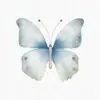 white butterflies clipart set
