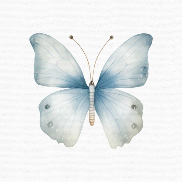 white butterflies clipart set