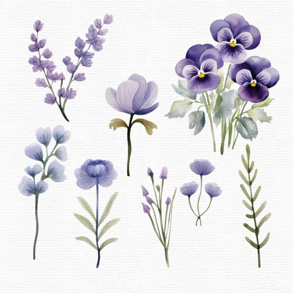 purple-flowers-clipart-set