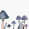 Mushroom Clipart, Magic Mushrooms Clipart - Image 8