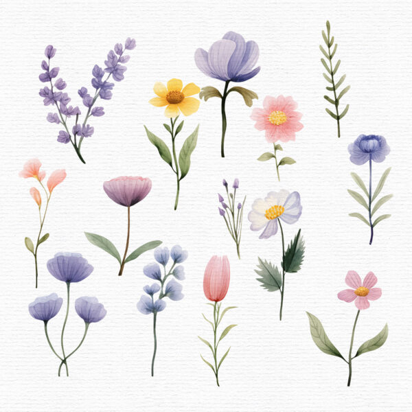 wildflowers-clipart
