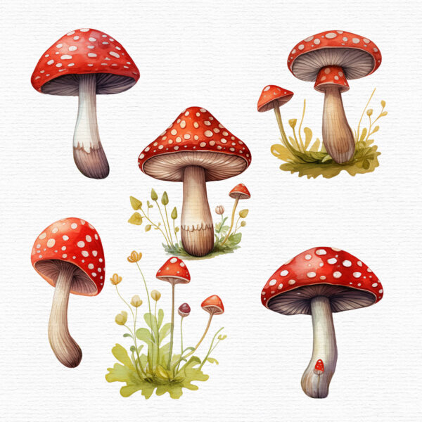 red-mushrooms-clipart