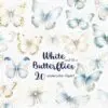 Watercolor white butterfly clipart set