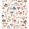 scandinavian mushroom clipart set