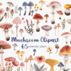 cute mushrooms clipart set