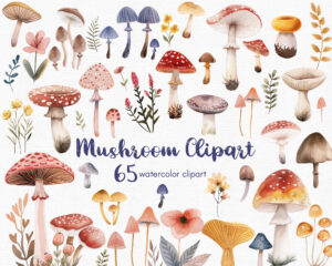 cute mushrooms clipart set