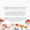 Mushroom Clipart, Magic Mushrooms Clipart - Image 2