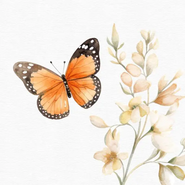 monarch butterfly clipart