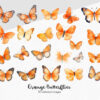 orange butterfly clipart