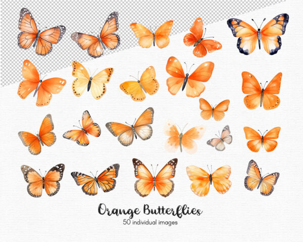 orange butterfly clipart