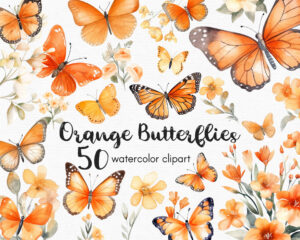 orange butterfly clipart set