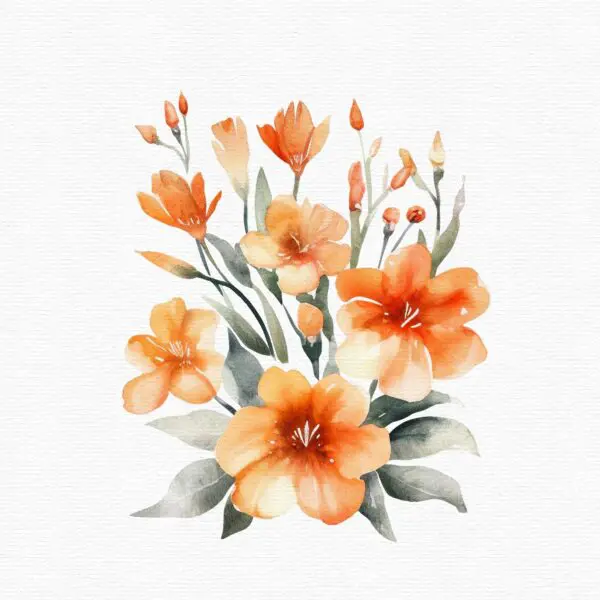 orange flowers clipart