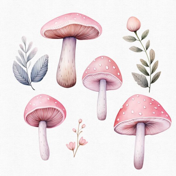 watercolor pink mushrooms