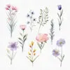 Fairy and Butterflies Clipart - Image 9