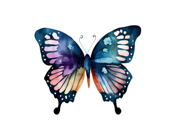 Flowers and butterfly clipart set - Image 5